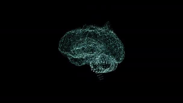 Concepto para funciones cerebrales y actividad. Holograma cerebral de pequeñas partículas, flota en el espacio, cada parte del cerebro tiene su propia función . — Vídeo de stock