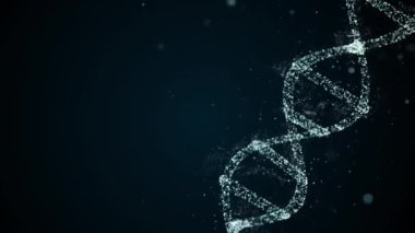 DNA düzenleme konsepti. DNA sarmal yapısına yeni oturumların eklenmesi üzerine çapraz görünüm.