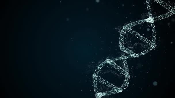 Redaktörskoncept för DNA. Diagonal syn på införandet av nya fröer i Dna spiral struktur. — Stockvideo