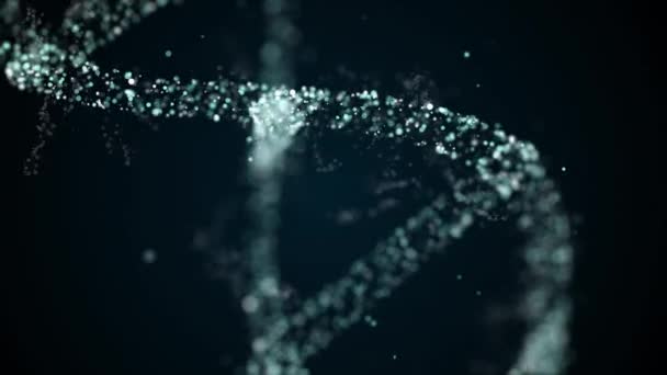 DNA, sestavující jednotlivé částice, tvořící abstraktní spirální vlákno. — Stock video