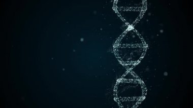 DNA Yapısı Analizi. DNA ipliği dört parça adenin, timin, guanin ve sitozinden oluşur..