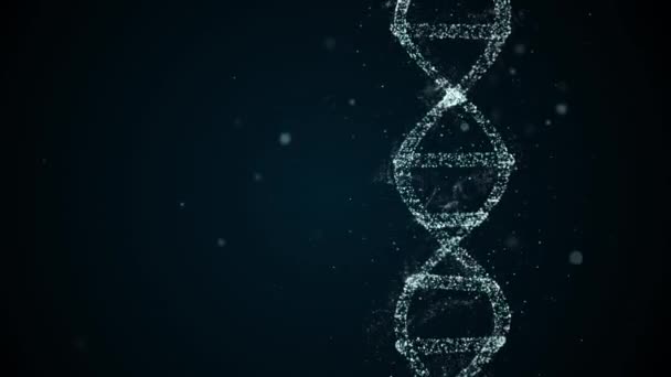 Analyse van de DNA structuur. DNA-strengenmolecuul bestaande uit vier delen adenine, thymine, guanine en cytosine. — Stockvideo