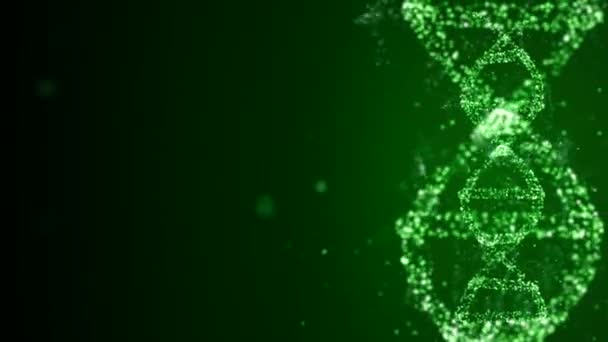 Analysis of DNA Structure. DNA strand molecule consisiting of four pieces adenine, thymine, guanine and cytosine. — Stock Video