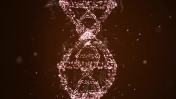 Rotación del ADN digital sobre fondo abstracto con partículas flotantes que recogen datos genéticos y emiten luz tenue . — Vídeo de stock