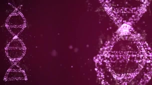 Tecnologia futura e conceito de identificação pessoal. projeções de moléculas de dna 3d na cor rosa com dados pessoais dentro sobre fundo escuro . — Vídeo de Stock