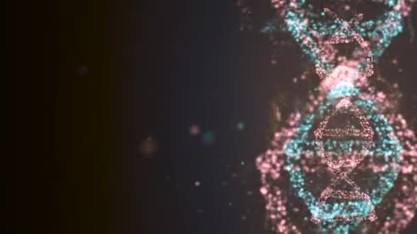 Scan van DNA constructie ontworpen uit genetische deeltjes in roze en blauw en alfa kanaal beelden. — Stockvideo