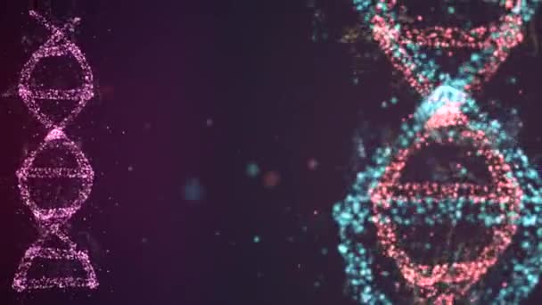 Barevná dvojitá šroubovice vlákno DNA a jeden jednoduchý Dna modely proti tmavému pozadí s létajícími částicemi bokeh kolem. — Stock video