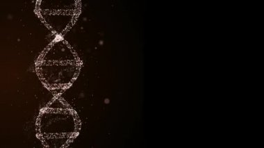 Genetik kalıtım konsepti. Atalarının genetik özellikleri olan parçacıklardan oluşan DNA 'nın 3D animasyonu.