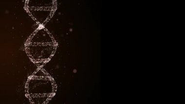 Genetik kalıtım konsepti. Atalarının genetik özellikleri olan parçacıklardan oluşan DNA 'nın 3D animasyonu.