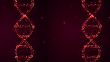 Karanlık arka planda yüzen amino asitli parçacıklardan yapılmış DNA sarmal ipliği.