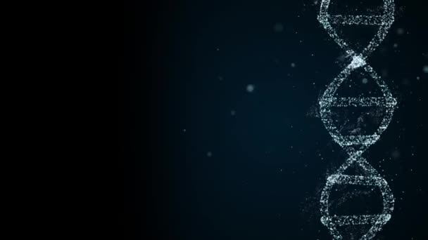 Animated DNA chain model in 3D render, floating on the side of screen with copyspace for additional educational information. — Stock Video