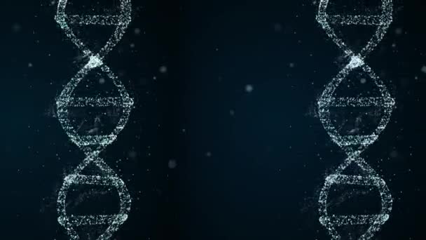Molécules de forme spirale d'ADN se retournant pendant le processus de décodage . — Video