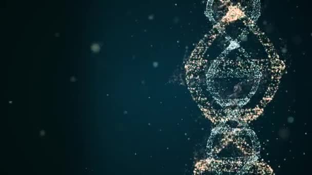 Concepto de evolución del ADN. Video Loopable de partículas abstractas formando un marco de ADN y girando en el espacio . — Vídeo de stock