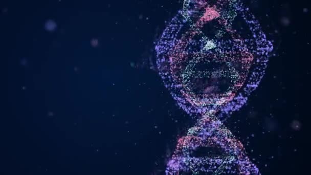 Erstaunliche Super-DNA-Strang rotiert im Raum als Probe des perfekten menschlichen Moleküls mit genetischer Information. — Stockvideo