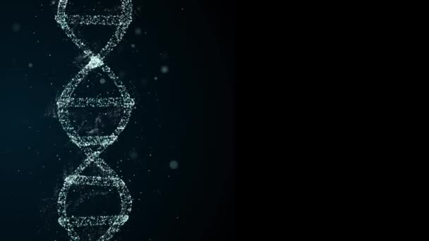 Moléculas de forma espiral de DNA girando durante o processo de decodificação . — Vídeo de Stock