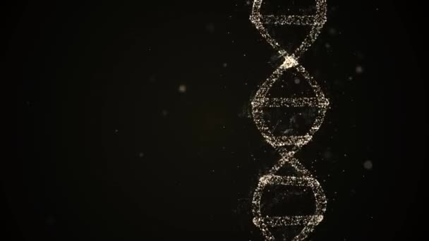 İnsan dijital DNA 'sı gelişiyor ve büyüyor, parçacıklar tarafından oluşturulan hücreler.. — Stok video