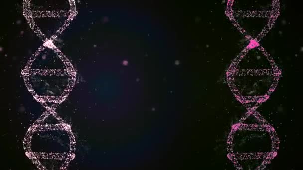 Hasonló DNS spirálok forognak a sötét háttér mindkét oldalán. — Stock videók