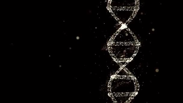 Genetics Heredity concept. 3d animation of DNA consisting of particles with ancestors genetic traits. — Stock Video