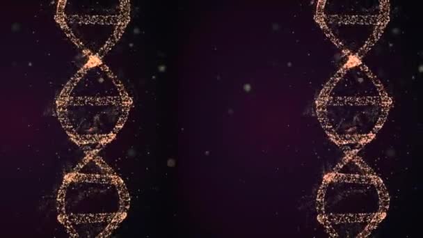 DNA spiral shape molecules turning around during decoding process. — Stock Video