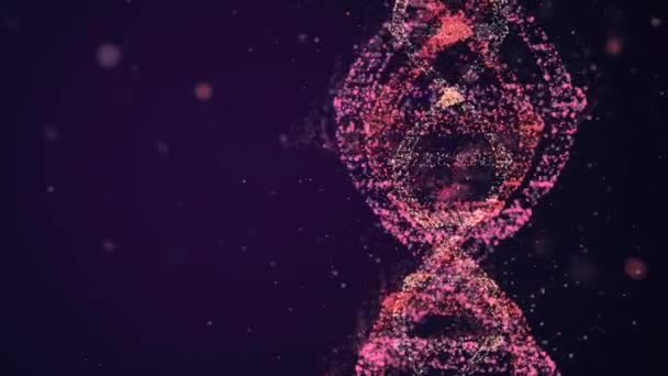 Reise in die dna-Kette. 4k-Video eines komplexen dna-Hologramms, das zwischen vielen herumfliegenden Bokeh-Teilchen rotiert. — Stockvideo