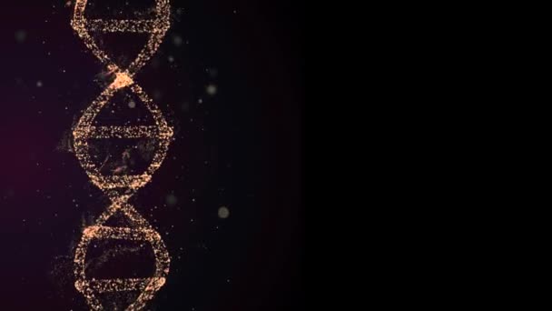 Menselijk digitaal DNA lijkt te evolueren en te groeien, cellen gevormd door deeltjes. — Stockvideo