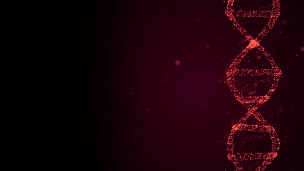 Animerad presentation av infekterade DNA-celler roterande på svart bakgrund och strålande rött ljus. — Stockvideo