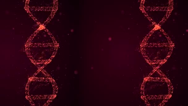 Нить спирали ДНК из частиц с аминокислотой, плавающей вокруг на тёмном фоне . — стоковое видео