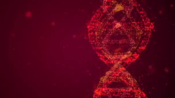 Resa in i DNA-kedjan. 4k video av komplexa DNA hologram roterande bland många bokeh partiklar flyger runt. — Stockvideo