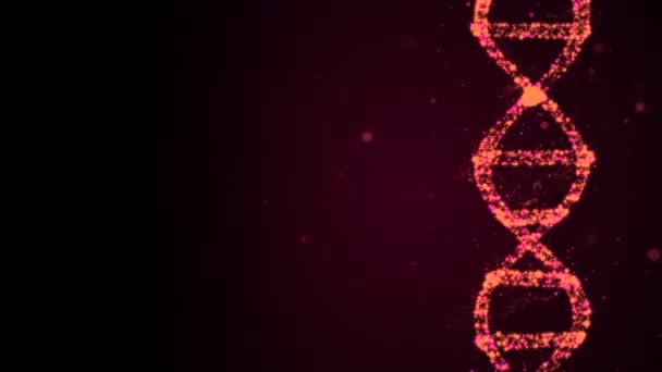 Smyčkové bezešvé záběry modelu DNA vytvořené z různých třpytivých kouzelných hvězd, rotující ve vesmíru. — Stock video