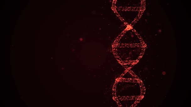 Animated presentation of infected dna cells rotating on black background and beaming red light. — Stock Video