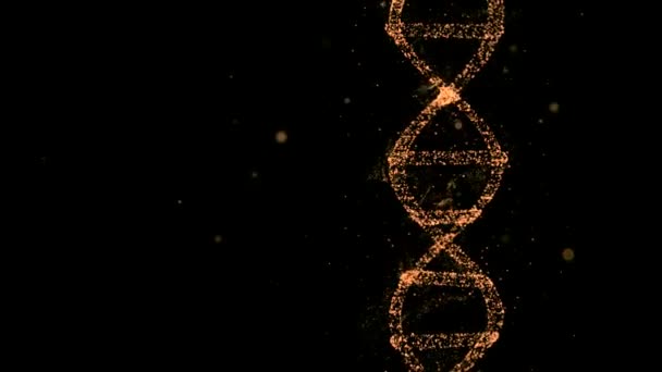 Вращение высокодетальной спиральной цепочки ДНК . — стоковое видео