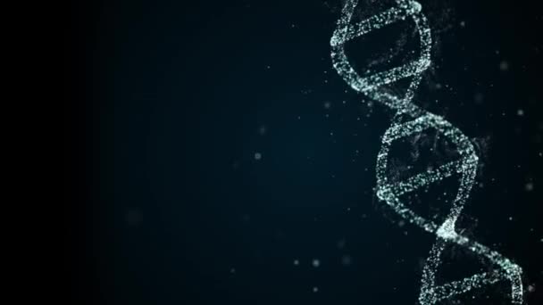 Roterande Dna högdetaljerad helix strand under utredning. — Stockvideo