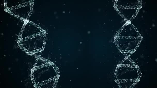 Dna Teilungskonzept. Schlupflöcher abstrakter Hintergrund der Dna, die ihren Inhalt dupliziert und sich in zwei neue Zellen teilt, die Tochterzellen genannt werden. — Stockvideo