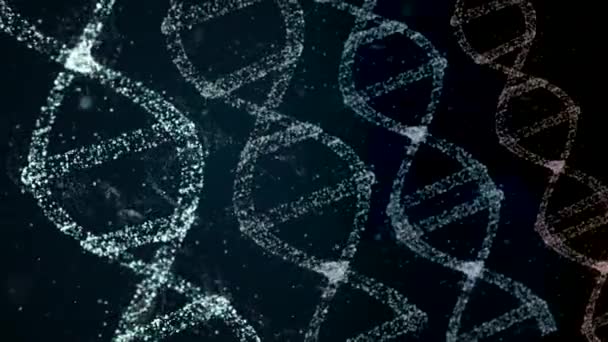 Liknande Dna helixes roterande på båda sidor av mörk bakgrund. — Stockvideo