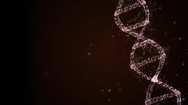 Technologie en programmering concept. DNA-molecuul over zwarte achtergrond, het verzamelen van persoonlijke genetische informatie. — Stockvideo