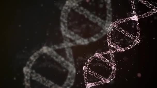 Dna divisionskoncept. Loopable abstrakt bakgrund av DNA duplicera dess innehåll och dela in i två nya celler som kallas dotterceller. — Stockvideo