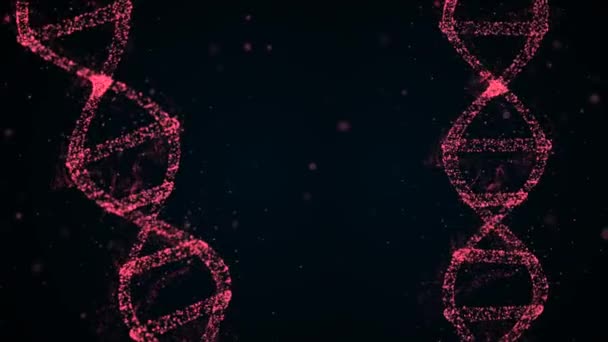 Dna-Helix-Strang aus Partikeln mit Aminosäure, die auf dunklem Hintergrund umherschweben. — Stockvideo