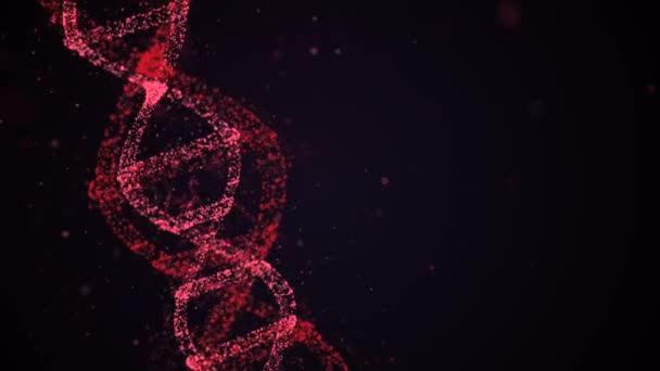 3D Animation DNA molecule structure turning around in flame of lasers. — 비디오