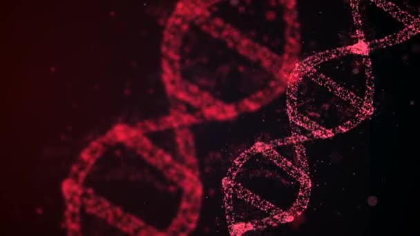 Dna divisionskoncept. Loopable abstrakt bakgrund av DNA duplicera dess innehåll och dela in i två nya celler som kallas dotterceller. — Stockvideo