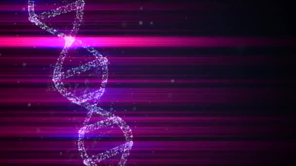 Soyut mavi uzay tozundan üretilen sanal DNA, pembe ışık ışınlarıyla aydınlatılarak etrafında dönüyor.. — Stok video