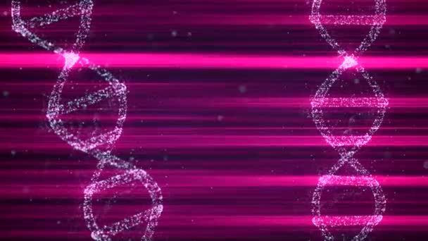 Animovaná prezentace infikovaných buněk DNA rotujících na černém pozadí a paprskového červeného světla. — Stock video
