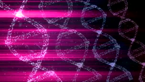 3D Animation DNA molecule structure turning around in flame of pink lasers. — ストック動画