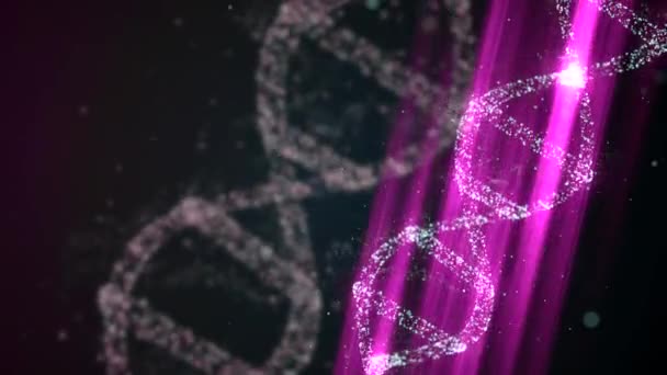 Dna spiraalvormige moleculen draaien rond onder laserverlichting tijdens het decoderingsproces. — Stockvideo
