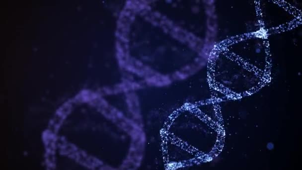 Hologramme 3D montrant des ADN femelles et mâles avec des chromosomes X et Y tournant dans l'espace . — Video