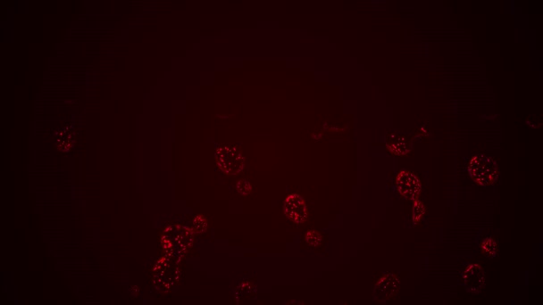 Imágenes abstractas de partículas rojas sangrientas cayendo sobre un fondo oscuro . — Vídeo de stock