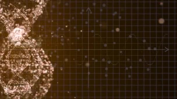 Gold particles DNA strand rotating on screen with graphs and charts on gridded black background. — Stock Video