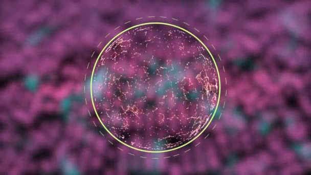 Abstract globe in triangular network connections flickering on blurred pink dots background. — Stock Video