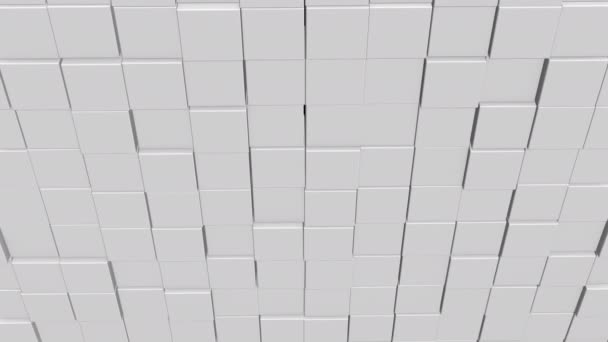 Réseau de cubes avec des informations à l'intérieur, se déplaçant et se connectant, formant un mur cubique .