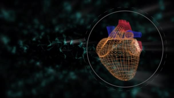 Hjärtundersökning animation. Gränssnittet för att upptäcka sjukdomar och problem med det kardiovaskulära systemet. — Stockvideo