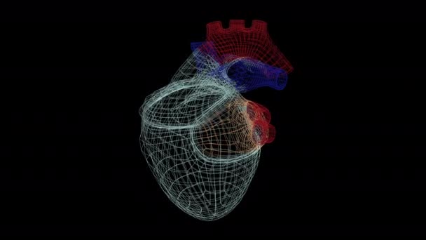 3D модель человеческого сердца на мониторе разворачивается, с визуальными конструкциями и избиениями . — стоковое видео